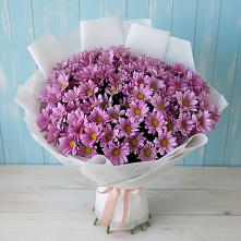 Букет цветов из:  Хризантемы в Новой Чаре