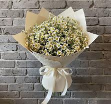 Букет цветов из:  Ромашки в Новой Чаре