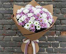 Букет цветов из:  Хризантемы в Новой Чаре