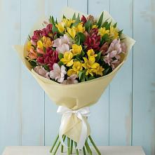 Букет цветов из:  Альстромерии в Новой Чаре