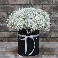 Цветочная композиция из Гипсофила в шляпной коробке в Новой Чаре