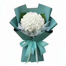 Букет цветов из:  Гортензия в Новой Чаре